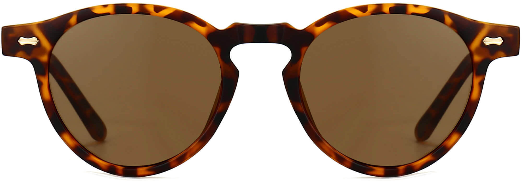 Valerie Tortoise Plastic Sunglasses from ANRRI, front view