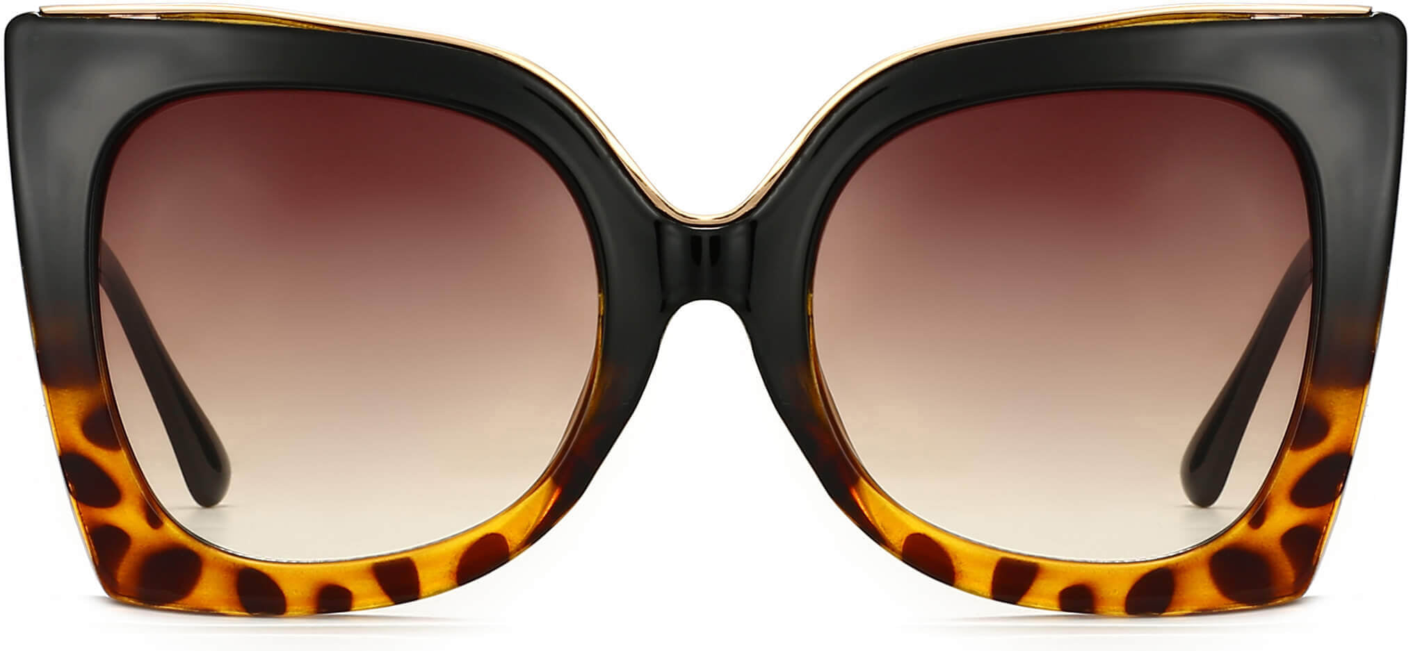 Cassia Tortoise Plastic Sunglasses from ANRRI