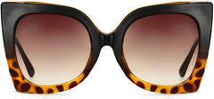 Cassia Tortoise Plastic Sunglasses from ANRRI